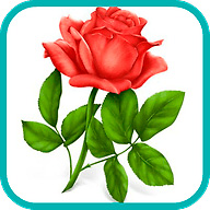 Actionrest