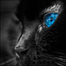 Darkhil
